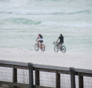 snowbird secrets, beach life