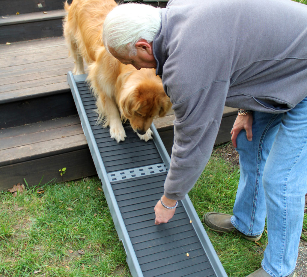 midlife snowbird, pet prep, ramp training, pet training