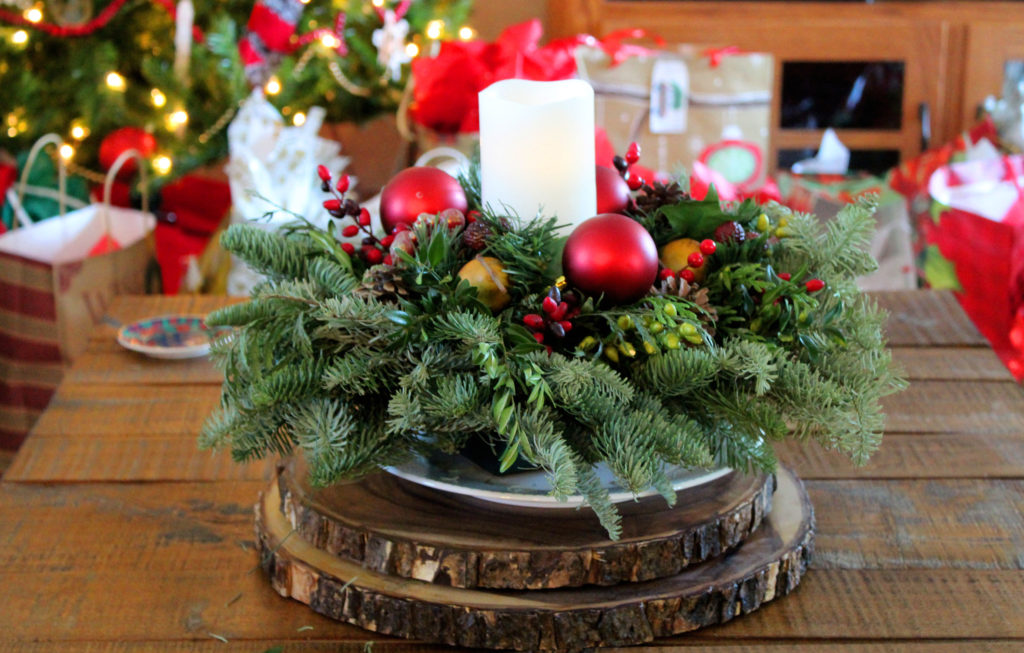0_Tedrow_Christmas_8679 _cp Away for the Holidays in Your Snowbird Home