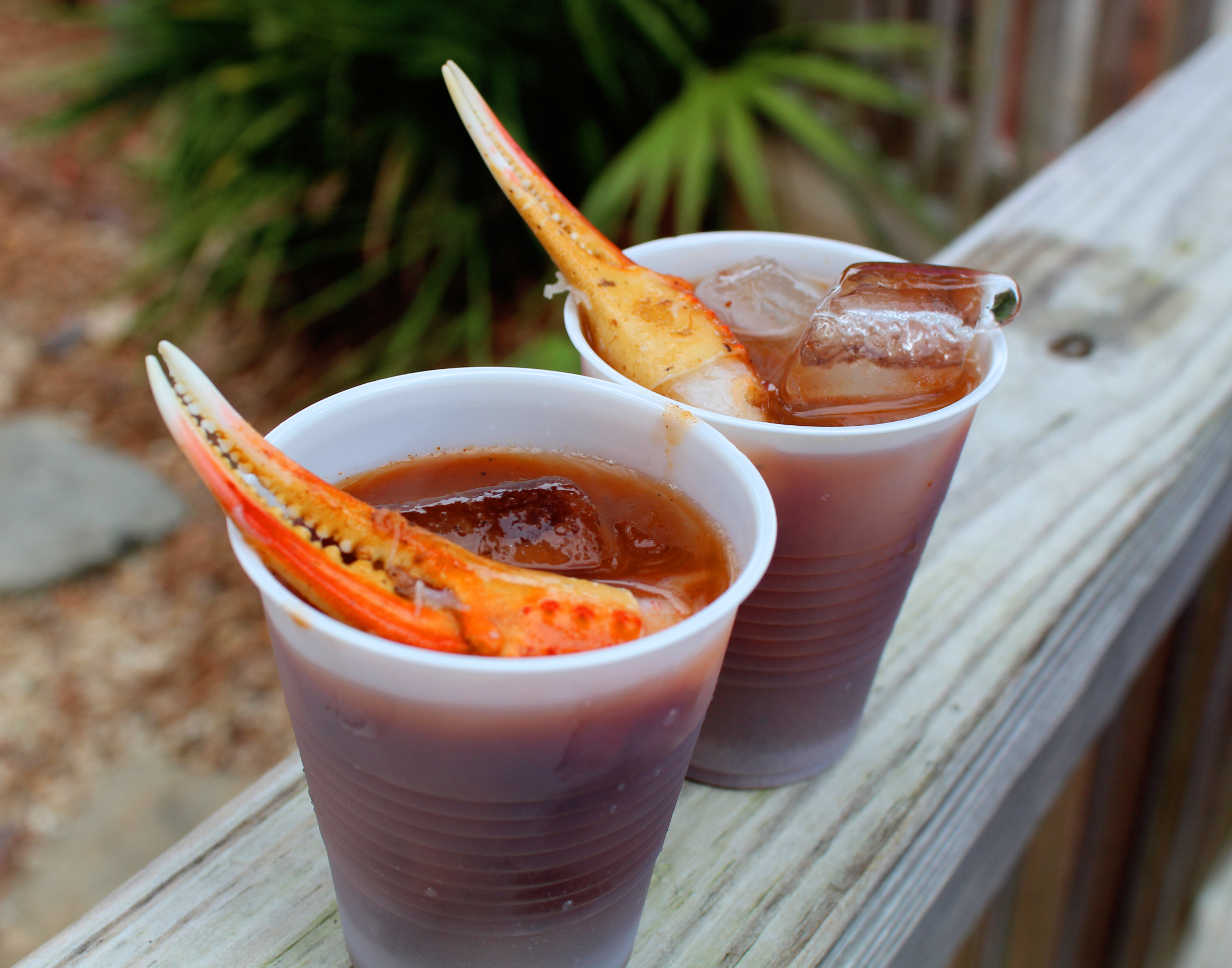 Crab Island Cantina Sandestin Gumbo Fest 2019 Midlife Snowbird